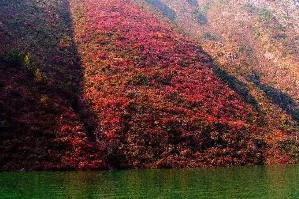 秋天旅游最佳去處國(guó)內(nèi)