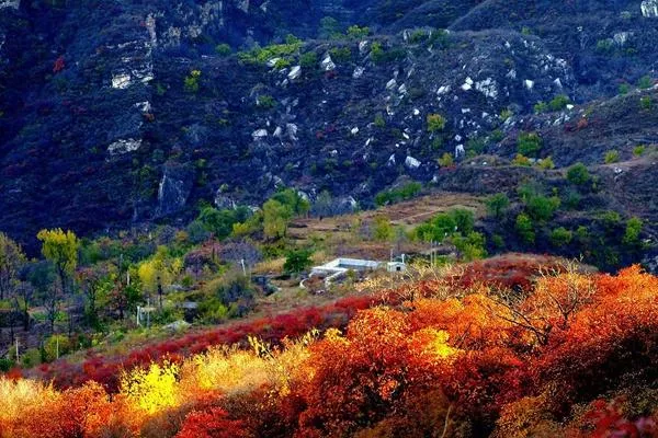 坡峰嶺爬山需要爬多久