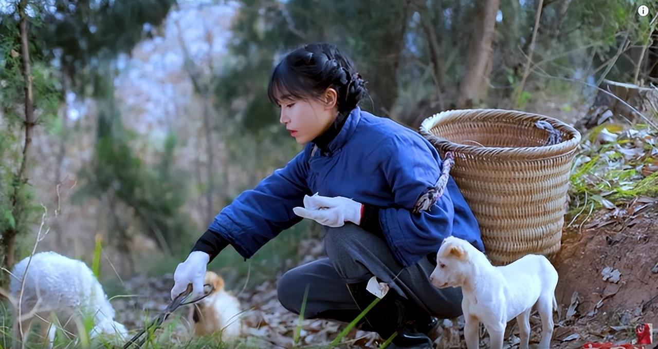 李子柒停更一年仍有收益,，她的“消失”,，是網紅圈的損失和悲哀(圖13)