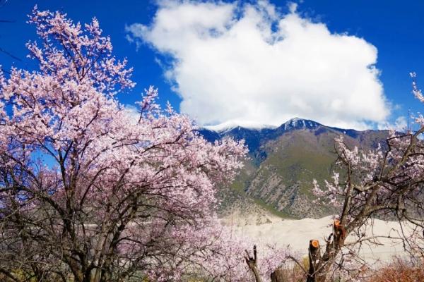 3月適合去哪里旅游