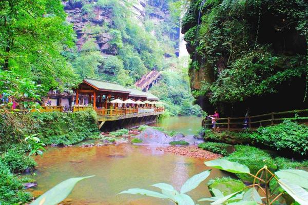 雅安碧峰峽一日游攻略