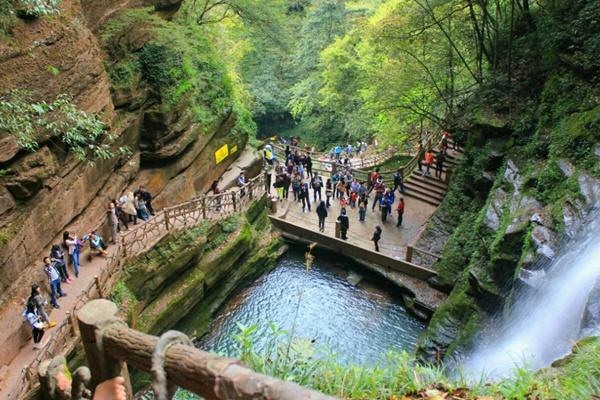 雅安碧峰峽自駕游攻略 一日游