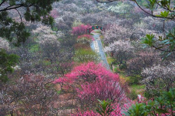 2024蘇州香雪海景區(qū)開(kāi)放時(shí)間