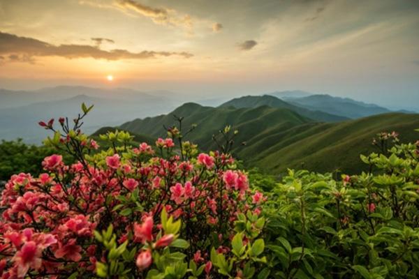 郴州春季賞花的地方有哪些