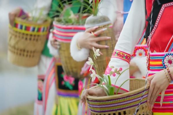 第31屆中國（維西）蘭花博覽會舉辦時間和舉辦地點