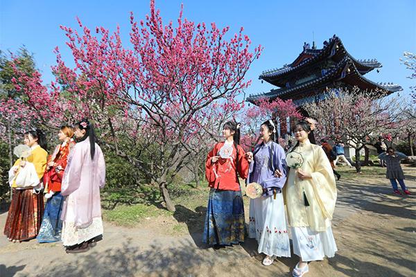 2024南京國(guó)際梅花節(jié)時(shí)間+地點(diǎn)+攻略