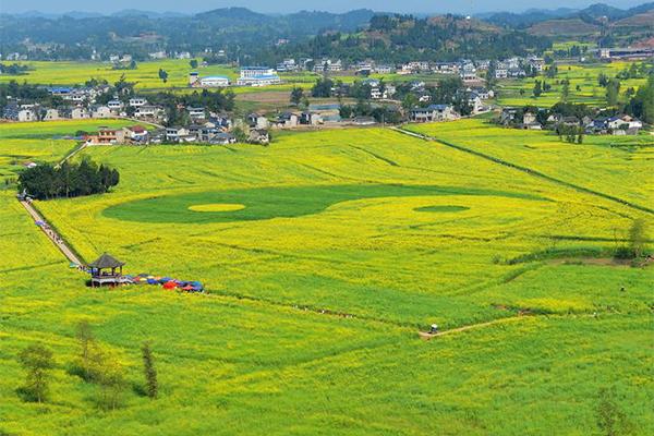 2024重慶潼南油菜花節(jié)門票+時(shí)間+地點(diǎn)+攻略