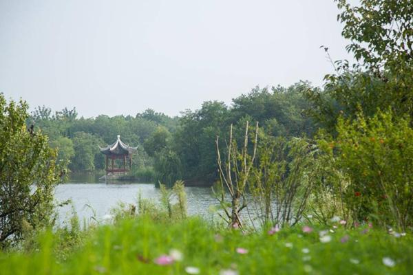 三臺山國家森林公園一日游路線攻略