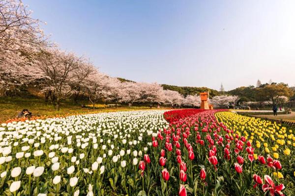 2024上方山百花節(jié)是什么時(shí)候