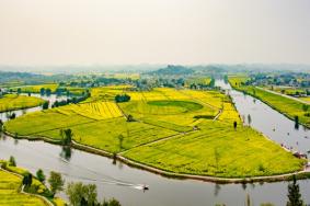 重慶油菜花觀賞勝地有哪些