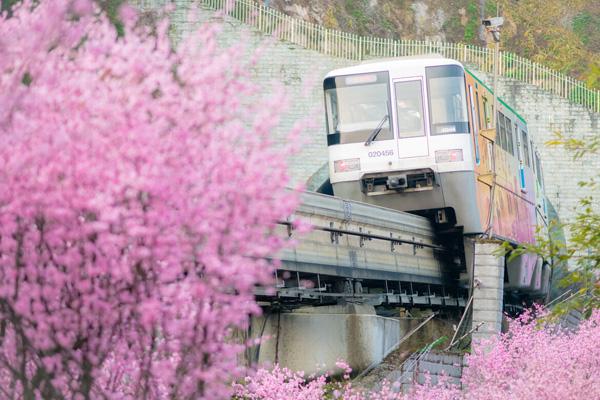 重慶開往春天的列車是幾號線