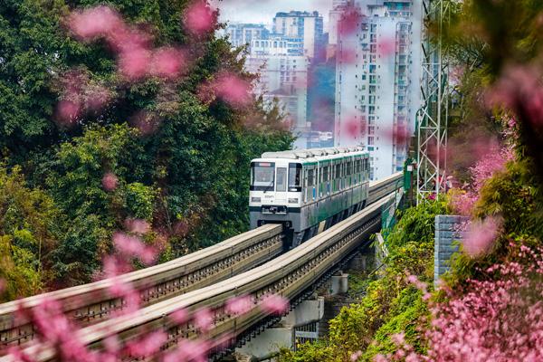 重慶開往春天的列車是幾號線