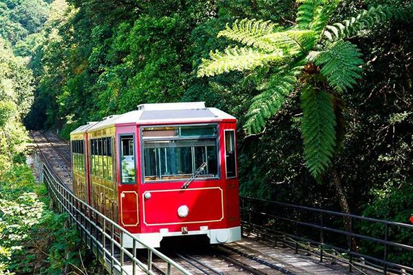 香港太平山纜車票價多少錢2024