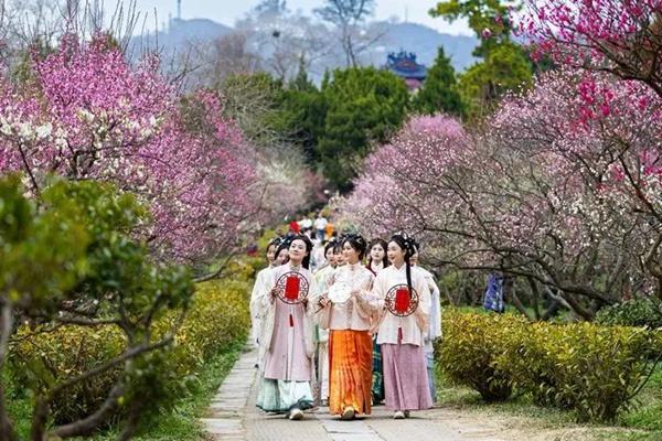 2024中國(guó)南京國(guó)際梅花節(jié)詳細(xì)游玩攻略