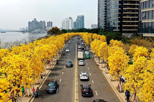 廣州3月份去哪里看花最好