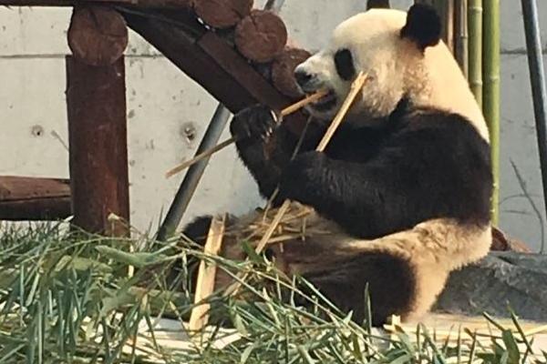 愛保野生動物園門票優(yōu)惠政策