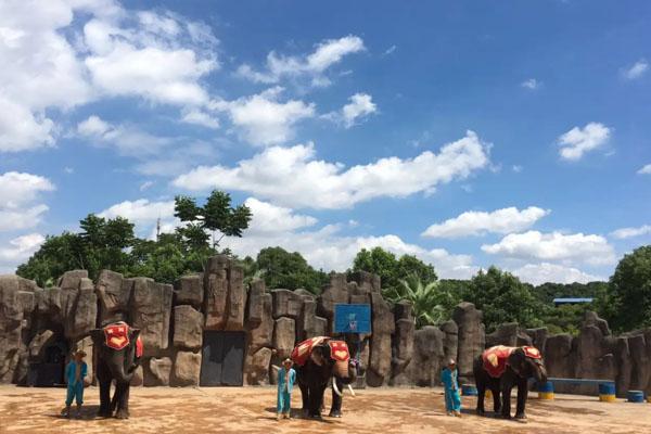 長(zhǎng)沙生態(tài)動(dòng)物園游玩攻略 一日游最佳路線