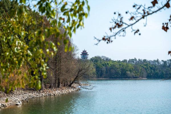 天目湖山水園一日游攻略 附最佳游玩路線