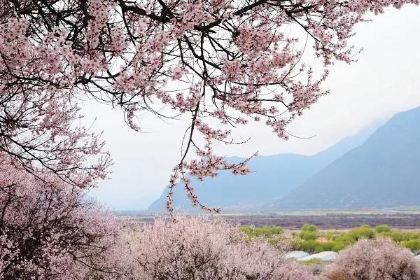 西藏最佳旅游季節(jié)是幾月份