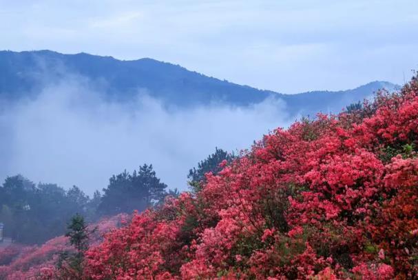 武漢春季旅游最佳去處