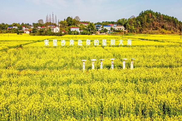 長(zhǎng)沙油菜花欣賞有哪些地方