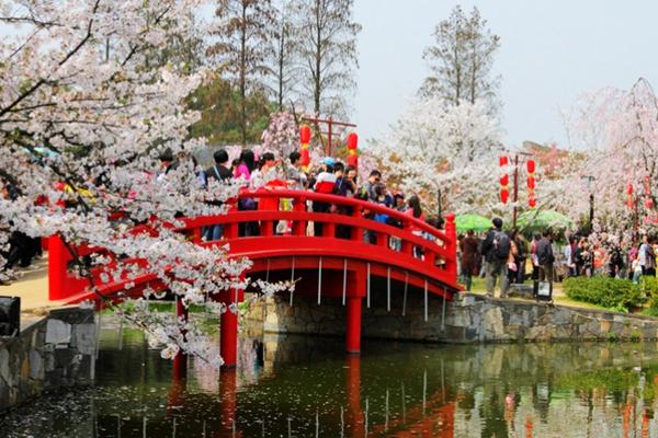 2024武漢東湖磨山櫻花園門票價(jià)格