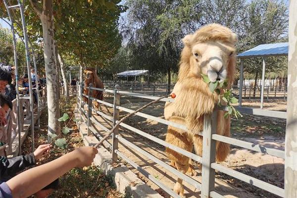 2024濱河野生動物世界門票優(yōu)惠政策