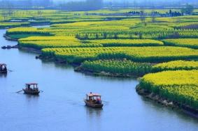 溱湖國(guó)家濕地公園門票價(jià)格2024