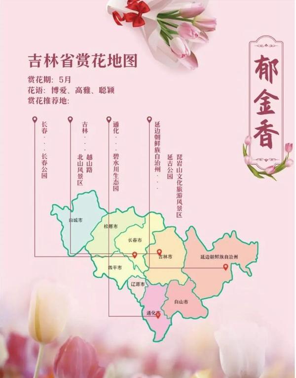 吉林省賞花的地方有哪些