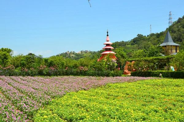 2024丹櫻生態(tài)園門票價格