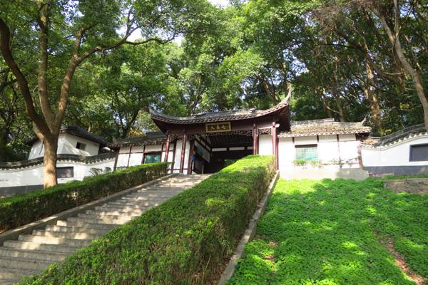 2024上海天馬山公園門票優(yōu)惠政策