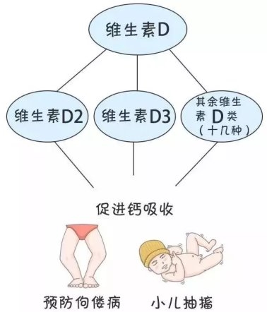 警惕“無效補鈣”：液體鈣成補鈣黃金搭檔(圖4)