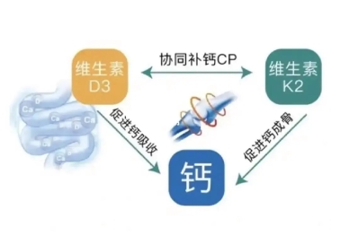 警惕“無效補鈣”：液體鈣成補鈣黃金搭檔(圖5)