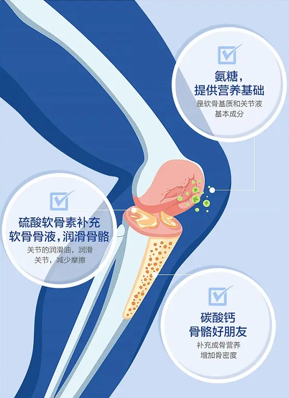 守護關節(jié)健康 揭秘氨糖軟骨素鈣片的功效(圖2)