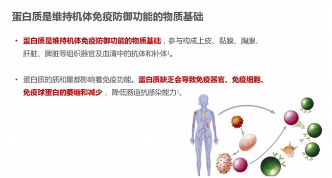 選購蛋白粉不再迷茫：蛋白粉哪個牌子好,，一文告訴你補(bǔ)充蛋白質(zhì)提高免疫力吃什么(圖1)