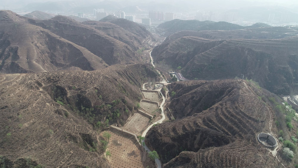 大河上下滿目新――推動黃河流域生態(tài)保護(hù)和高質(zhì)量發(fā)展綜述(圖14)