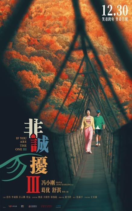 圖為《非誠勿擾3》海報