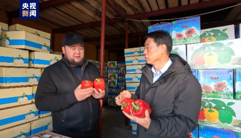 “中國味道”出口熱,！新疆霍爾果斯口岸果蔬出口迎今年首個高峰(圖2)