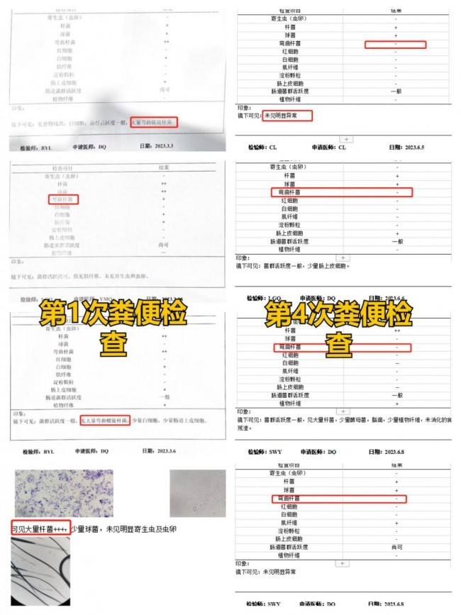 好主人100天喂養(yǎng)計劃成功收官 分階主糧引領精細化養(yǎng)寵趨勢(圖7)