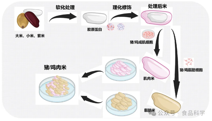 雞肉/豬肉系列米制品研發(fā)成功(圖1)